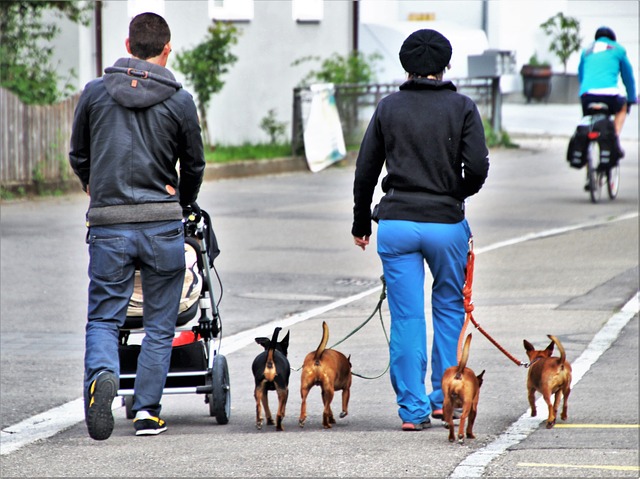 Rodina na prechádzke.jpg